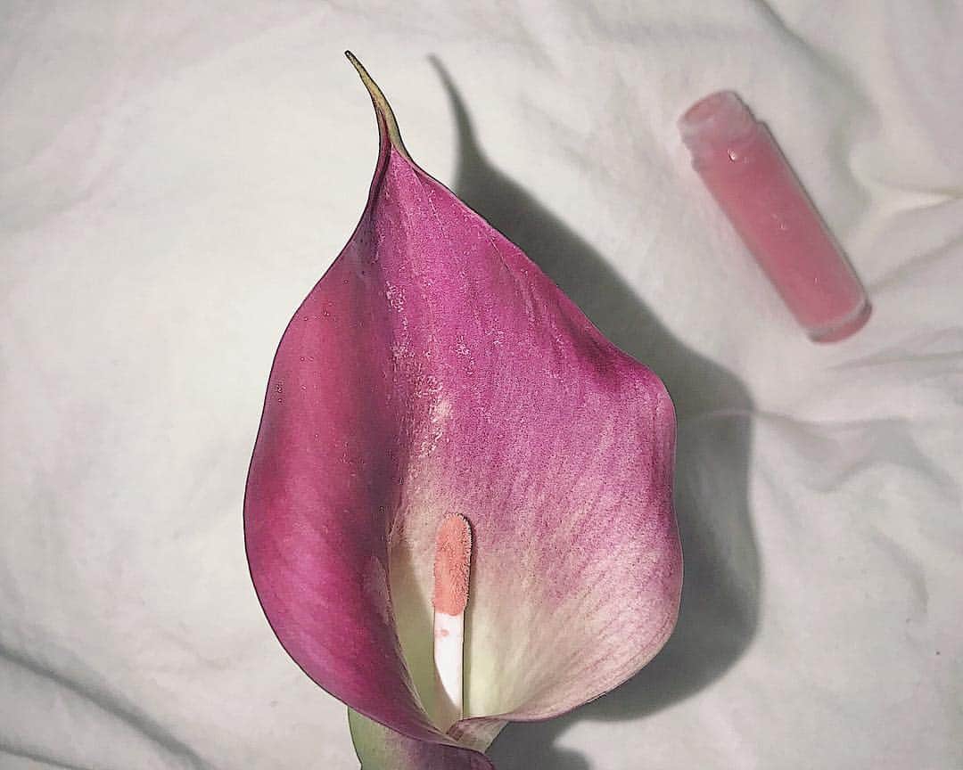 とんだ林蘭さんのインスタグラム写真 - (とんだ林蘭Instagram)「Lip gloss flower」11月26日 14時13分 - tondabayashiran