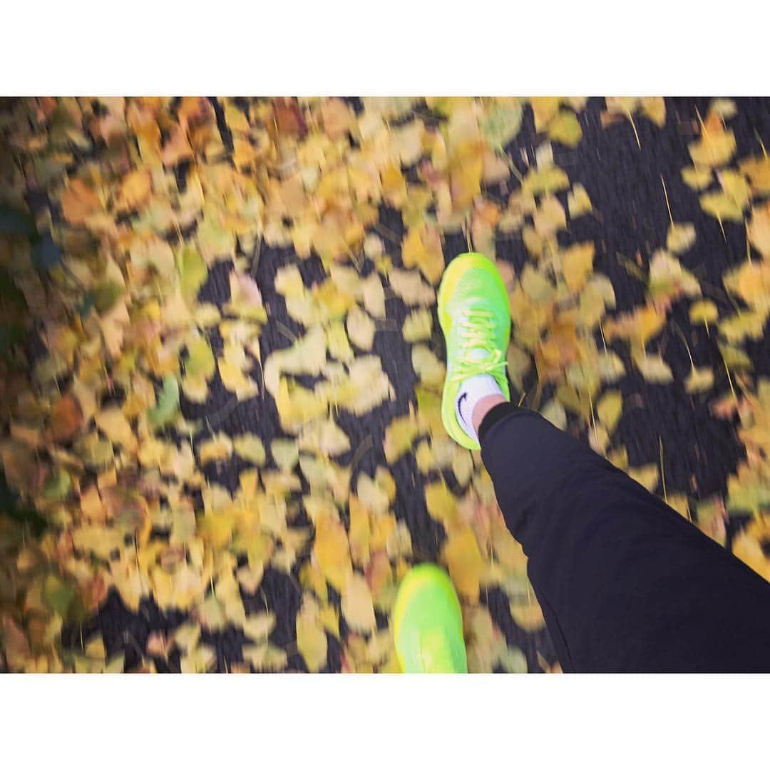 笹川友里さんのインスタグラム写真 - (笹川友里Instagram)「気象予報士の長谷部さんに 銀杏はそろそろ散ってしまうと教えて貰ったので ひとっ走りしながら見に行きました✨ 足下の銀杏も綺麗な季節です。  #秋 #銀杏 #紅葉 #そろそろ見頃も過ぎ #小走りで #ランニング  #久しぶりに歩く以外の運動しました」11月26日 19時40分 - sasagawayuri