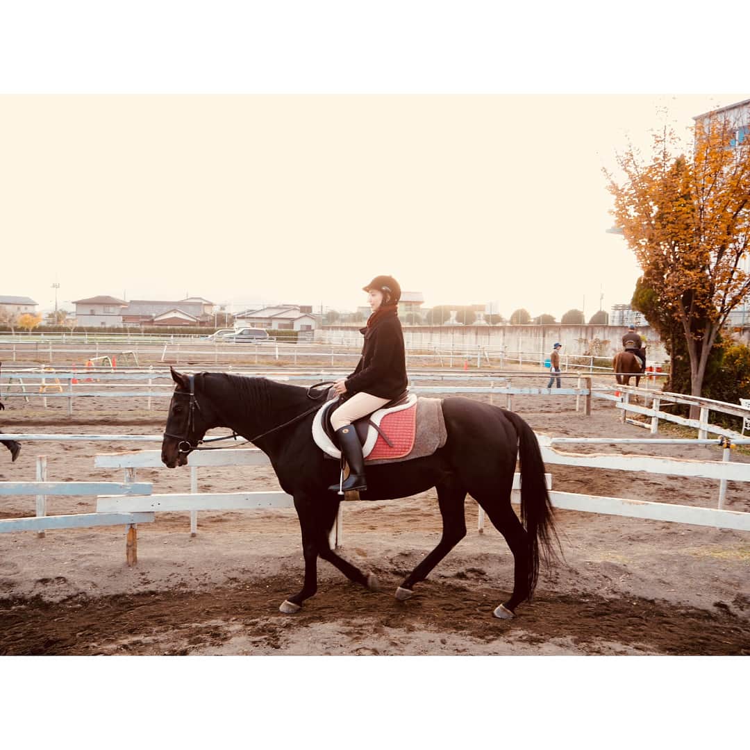 豊田エリーさんのインスタグラム写真 - (豊田エリーInstagram)「🏇 馬のまっすぐな瞳に映る自分は、ちゃんとしていたいなぁ、と。 ・ もっと上手くなって、颯爽と駆け回りたい！ #KRC #クサマライディングクラブ #乗馬 #五郎くん #サクラちゃん #horseriding #loveit #cheval #equitation #elliecamera」11月26日 20時38分 - ellie_toyota