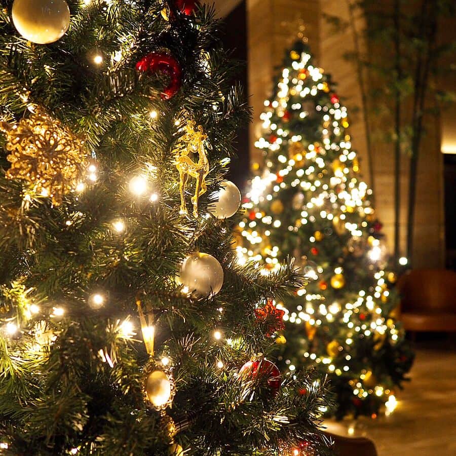 磯部奈央のグルメインスタ