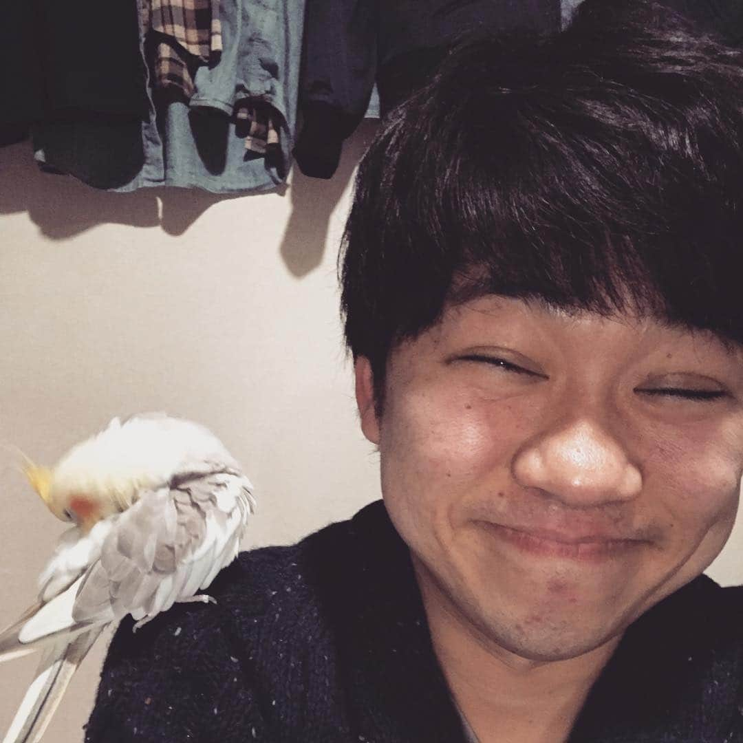 桝本コージのインスタグラム：「人間と鳥  #人間 #鳥 #生きてる」