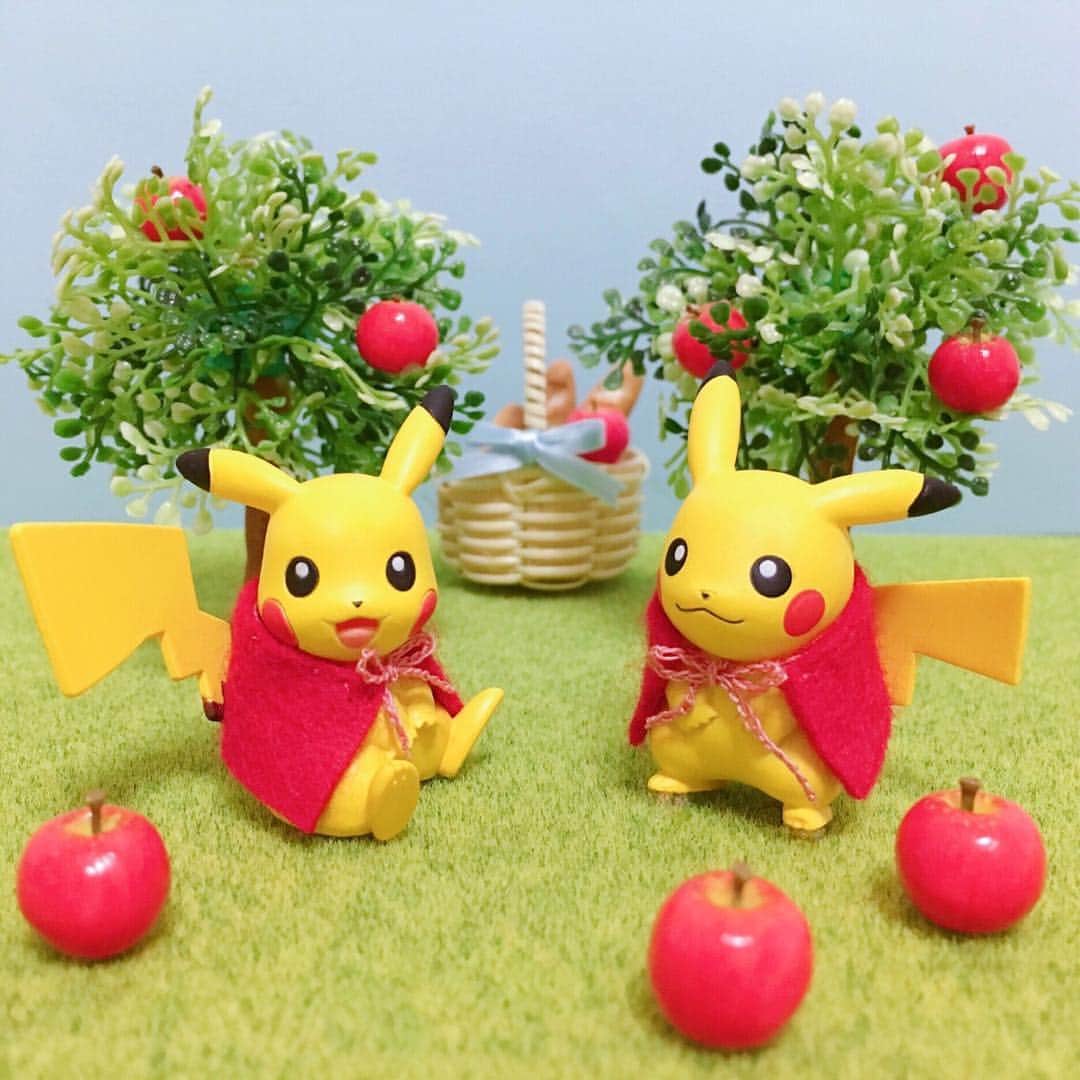 ピカチュウ公式Instagramさんのインスタグラム写真 - (ピカチュウ公式InstagramInstagram)「【今日のピカチュウ】 今日はりんご狩り🍎 いっぱい拾って帰ろうね💛 #pikachu #pokemon #apple #pikachu_snap #photooftheday #ピカチュウ  #ポケモン #りんご」11月3日 19時21分 - pokemon_jpn