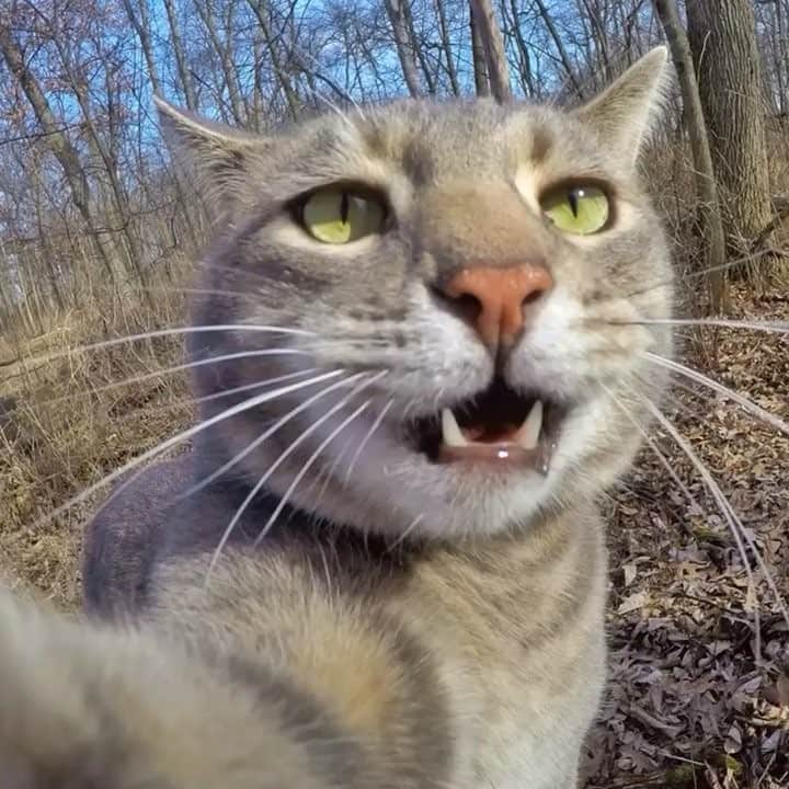 マニーのインスタグラム：「😸」