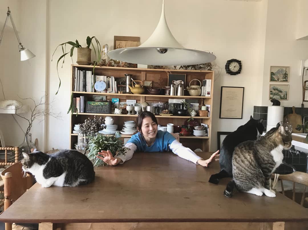 越智香住 猫 置物 石田ゆり子 石井佳苗