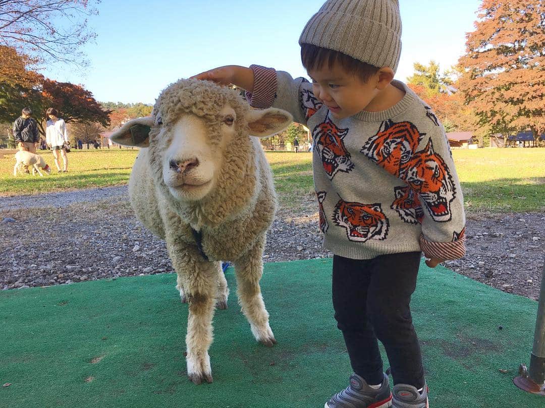 本多洸亮のグルメインスタ