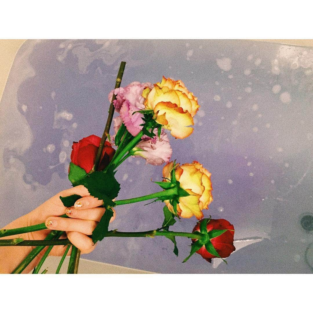 松尾レミさんのインスタグラム写真 - (松尾レミInstagram)「ホテルのお風呂に浮かべた🌹💐🌷 内藤剛志さんが磔磔ライブに大きなお花を贈って下さったので、飾り終え持ち帰ってフラワーバスにしました😇ツアー中にファンの方から頂いたキャンドルもめっちゃ役立ってます、本当にありがとう！あしたも頑張れるー！」11月4日 10時27分 - remimatsuo