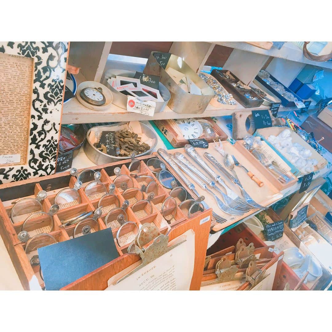 夏菜さんのインスタグラム写真 - (夏菜Instagram)「東京蚤の市にいってきました💛 見てるだけで目の保養🙄💜 んふーたのしかった💓 #東京蚤の市#調布」11月4日 17時50分 - natsuna_official