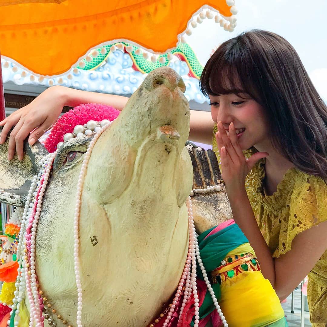 のインスタグラム：「#まいちゅん写真集の旅 (22) 巨大なピンクガネーシャは、願い事を速攻で叶えてくれる神様。で、実際に願い事をする時は、ガネーシャの前にいる子分(？)のネズミたちの耳に囁くんです。ポイントは、その時、もう片方の耳を塞ぐことなんだそうです。 果たしてこの時のまいちゅんの願い事は、叶ったのでしょうか…。 #乃木坂 #新内眞衣  #タイ  #ピンクのガネーシャ  #オールナイトニッポン０」