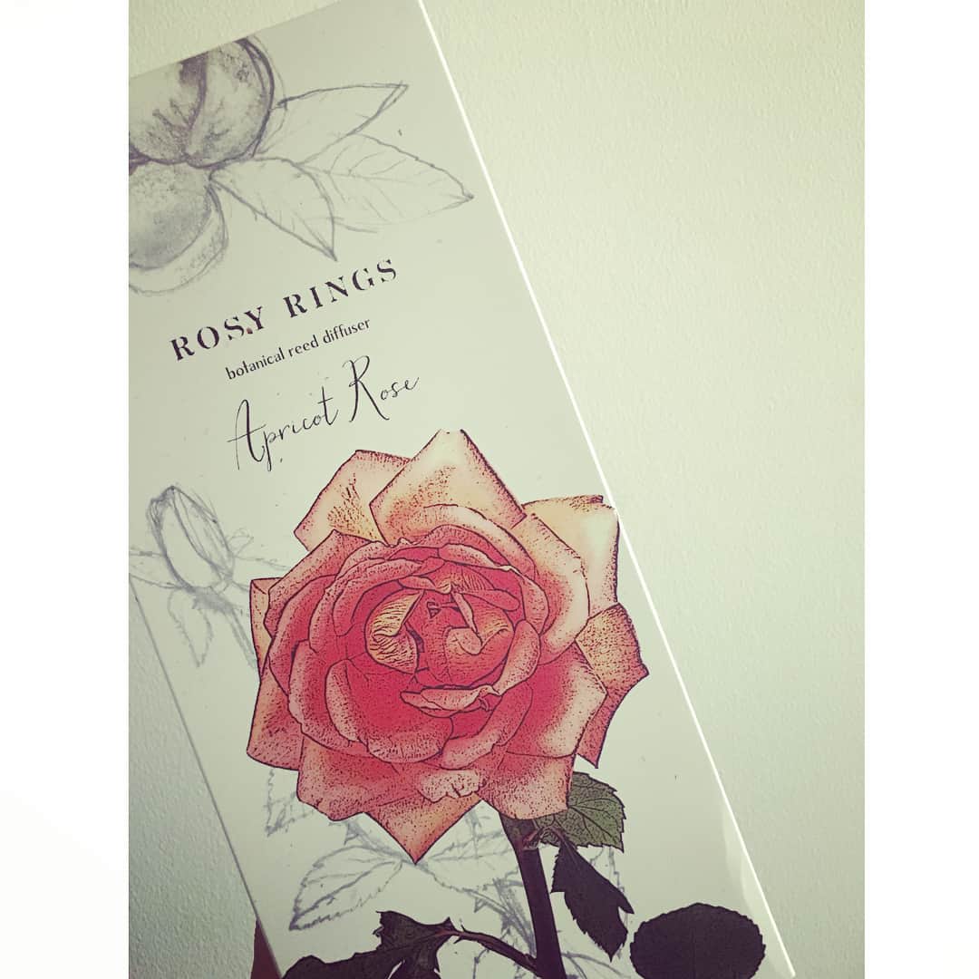 神崎恵さんのインスタグラム写真 - (神崎恵Instagram)「寝室までの階段に新しい香り🌹 ふわふわやわらかく、心地よく甘い。甘美な香り。 久々に惚れ惚れする香りに出会えた✨ 香りを添えるだけで、忙しくなりがちな日常がやわらかく流れ始めてくれる。 なんていい香り✨ ROSY RINGS ボタニカルリードディフューザー #ROSYRINGS #DreamFantasque #代官山 #MAISONDEREEFUR  @la_boutique_fantasque」11月4日 20時08分 - megumi_kanzaki