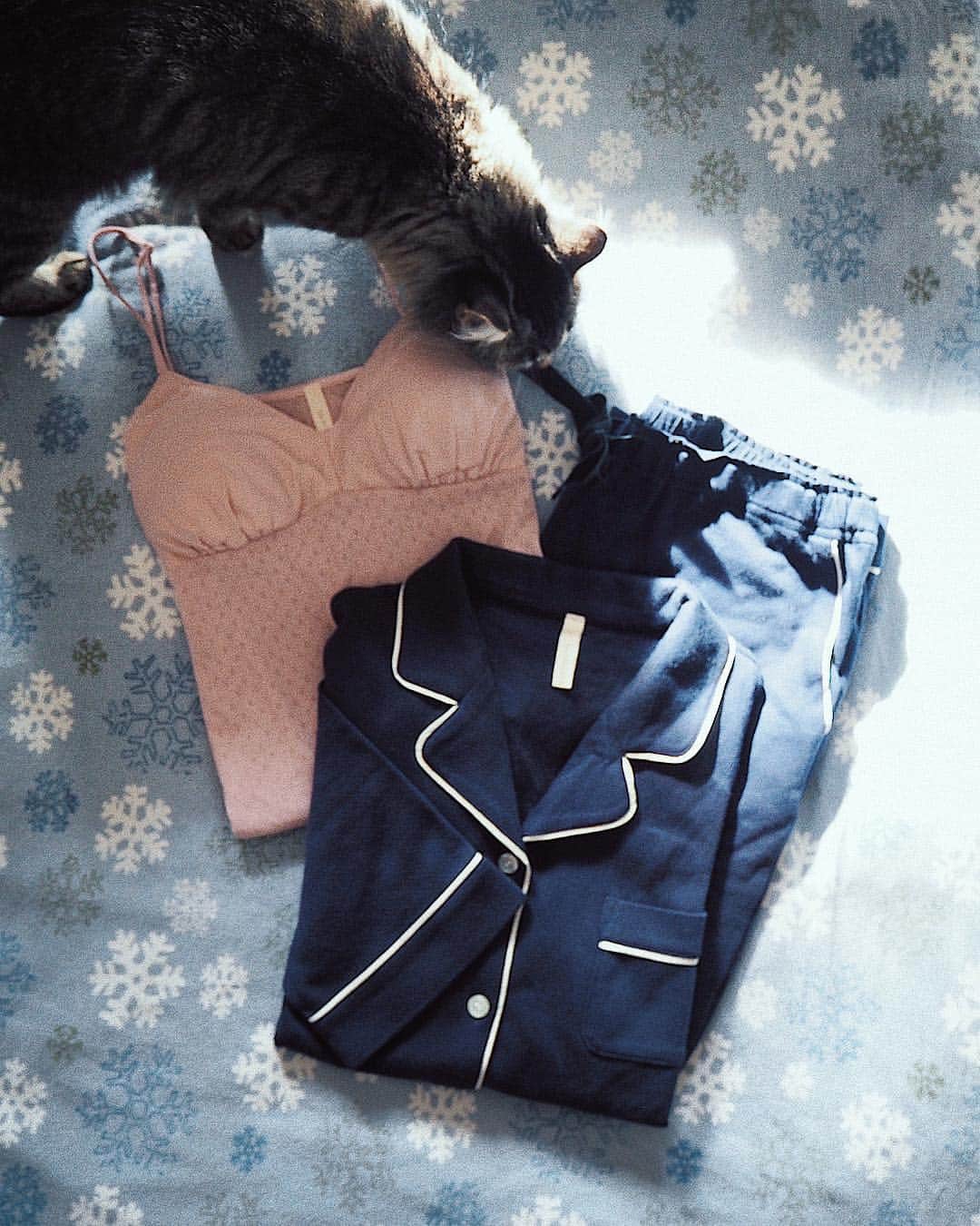猪鼻ちひろのインスタグラム：「New pajamas💕 おNEWパジャマが可愛すぎてブツ撮りしてたら宿泊先の猫ちゃん自然にIN🐈人なつこいなぁ☺️ NY旅、このパジャマのおかげで熟睡できている気がします😪💕 今回持ってきてよかったものno.1🥇(2位は萩の月🍪笑) ちなみに忘れ物はスリッパとアイマスクとミストです…😭 #ちひろトリップ #必需品 #skinaware #オーガニックコットン100% #madeinjapan #超お気に入り❣️ #パジャマは生地にこだわる派 #コットン #シルク #love #たまに着る夏の浴衣やガウンも好きなんだけどね♡ #猫 #名前は #grayson #ピンボケしてるけど #猫ちゃん #採用 #😻」