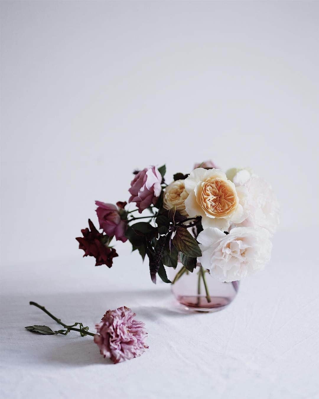 増田由希子さんのインスタグラム写真 - (増田由希子Instagram)「Still life.  #lyngby #lyngbypocelain #stilllife #roses #rose #リュンビューポーセリン 朝の光の中で撮った一枚」11月5日 20時56分 - nonihana_