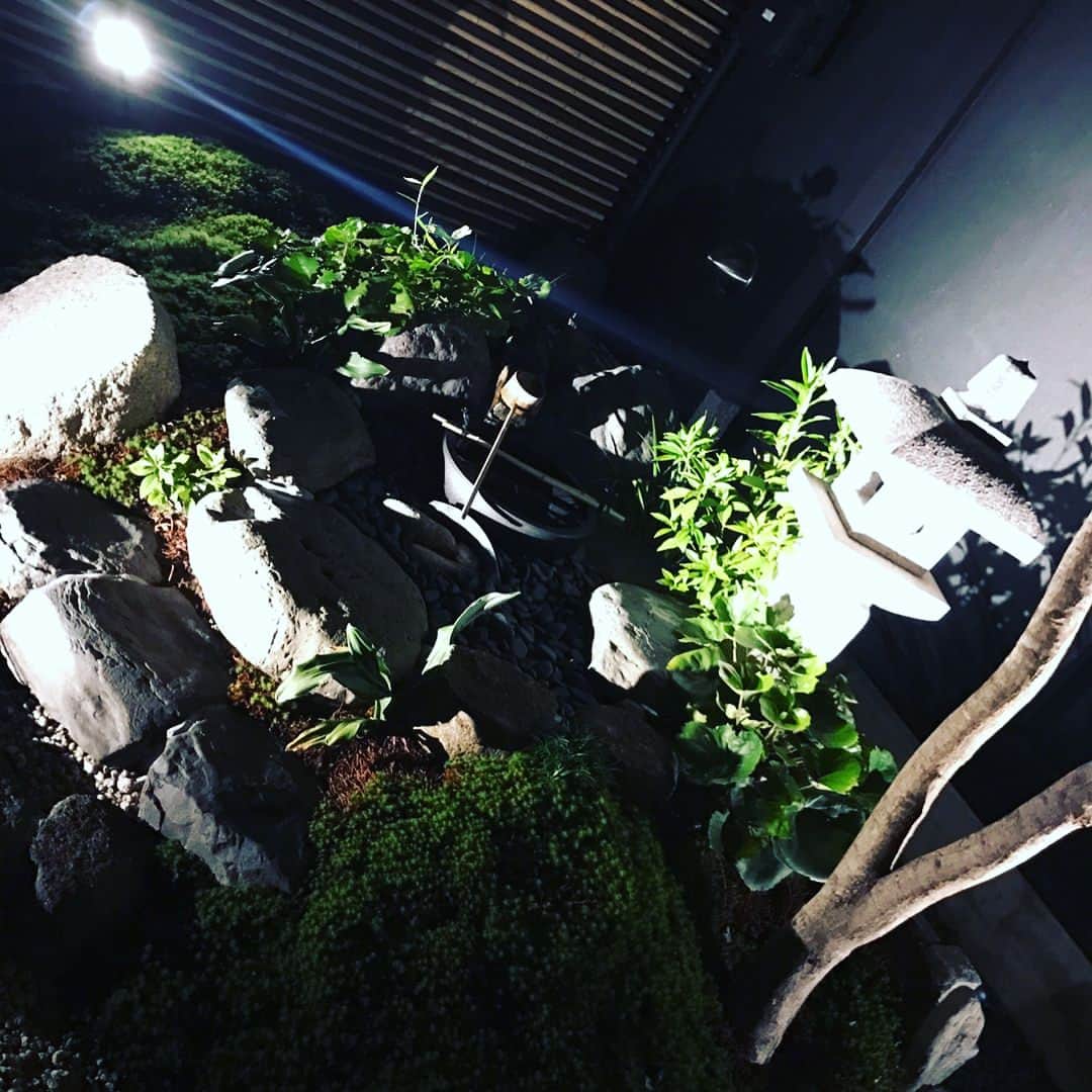 山本裕典さんのインスタグラム写真 - (山本裕典Instagram)「大阪に仕事の件できました！ 夜ごはんは大阪で有名な焼肉屋さん 「きみや」さんに！！ #きみや #焼肉 #めちゃうまい #一軒家を改装して #すごい高級感 #あー、食べすぎた #やばたん #中崎町 大阪」11月6日 22時19分 - yusuke_yamamoto0119