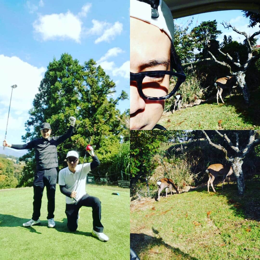 山田庸平のインスタグラム：「久しぶりに藤原さんとゴルフ⛳ #ゴルフ #奈良出身　 #ライセンス藤原さん  #鹿 #も応援しに来てくれたよ #楽しかった～ #スコア121」