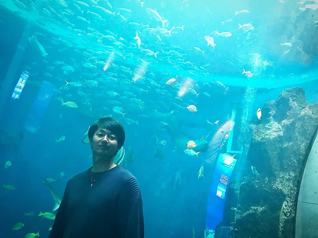 唐川侑己さんのインスタグラム写真 - (唐川侑己Instagram)「Day off✨ 二木に遭遇🐳 #鴨川シーワールド#エイ#エイの裏側#二木#二木康太#本人公認#ナイスショット📷」11月6日 17時20分 - yuki_karakawa19