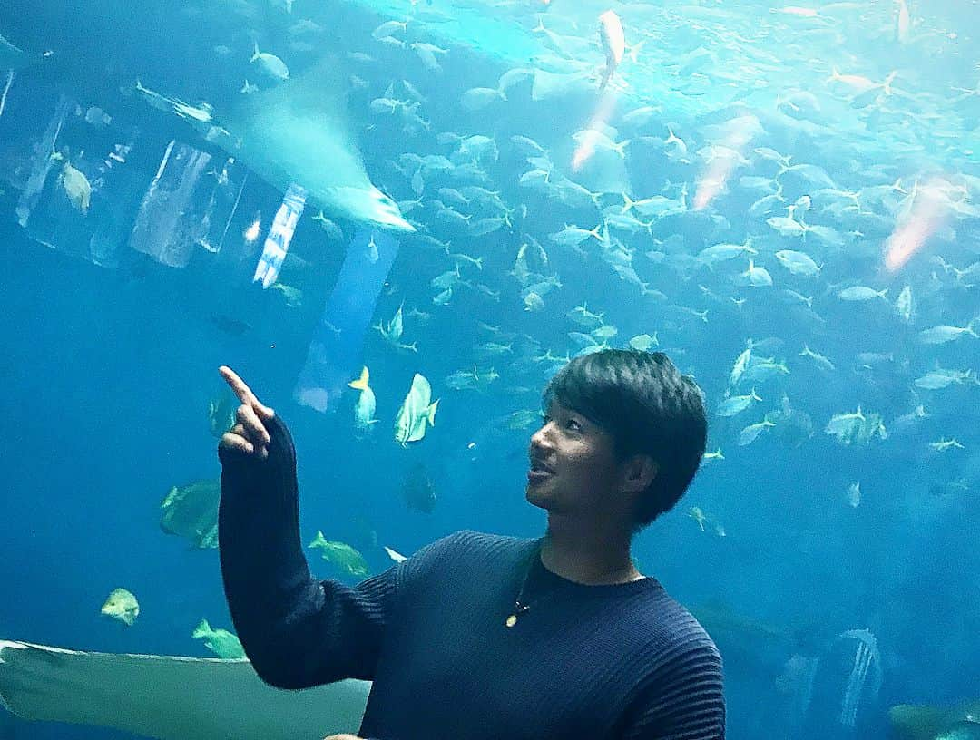 唐川侑己さんのインスタグラム写真 - (唐川侑己Instagram)「Day off✨ 二木に遭遇🐳 #鴨川シーワールド#エイ#エイの裏側#二木#二木康太#本人公認#ナイスショット📷」11月6日 17時20分 - yuki_karakawa19