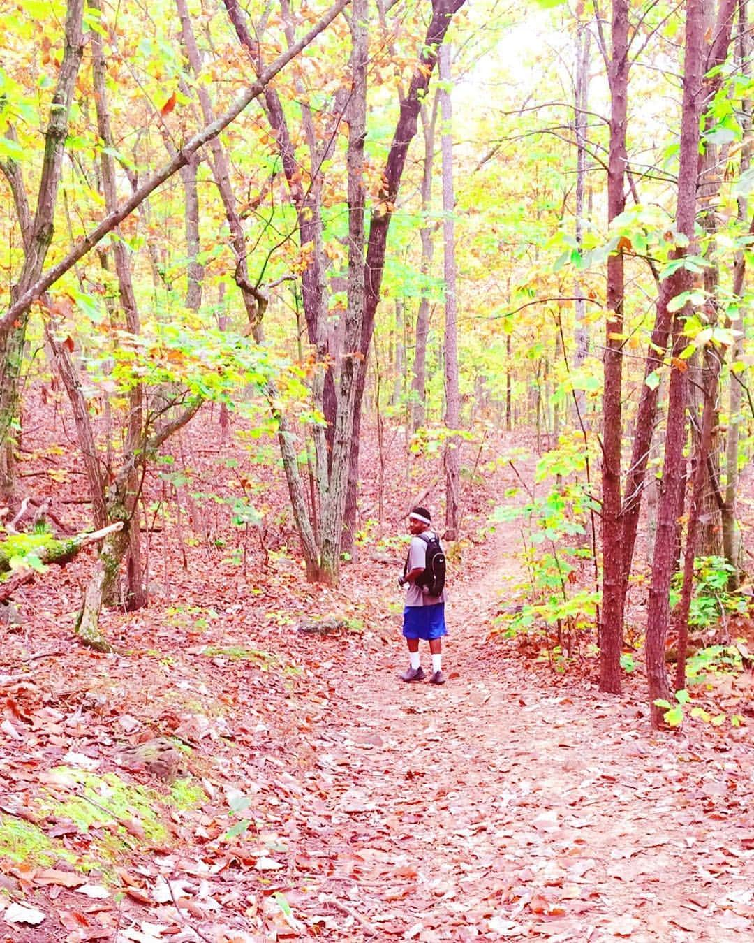 プレシャス・パリスのインスタグラム：「Dope shot of my son @crooklyn._ on our hiking trip yesterday. #MotherAndSonTime 💙💛 The fall leaves were indescribable. 🍁🍂🌳🌾🍁 #BeautifulEarth」