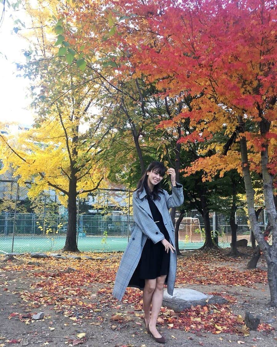 藤井美菜さんのインスタグラム写真 - (藤井美菜Instagram)「. 秋のソウル🍁🌾 가을인 서울. 🍁🌾 #ソウル#서울#Seoul#秋#가을#autumn#美菜私服」11月7日 14時27分 - fujii_mina_0715