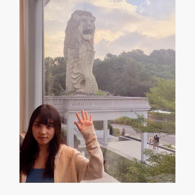 与田祐希のインスタグラム：「夕暮れ ☀️ マーライオンが 見える部屋。  マーライオンが 与田ちゃんを 見てる！？ #日向の温度 #与田ライオン #夕暮れ #マーライオン」