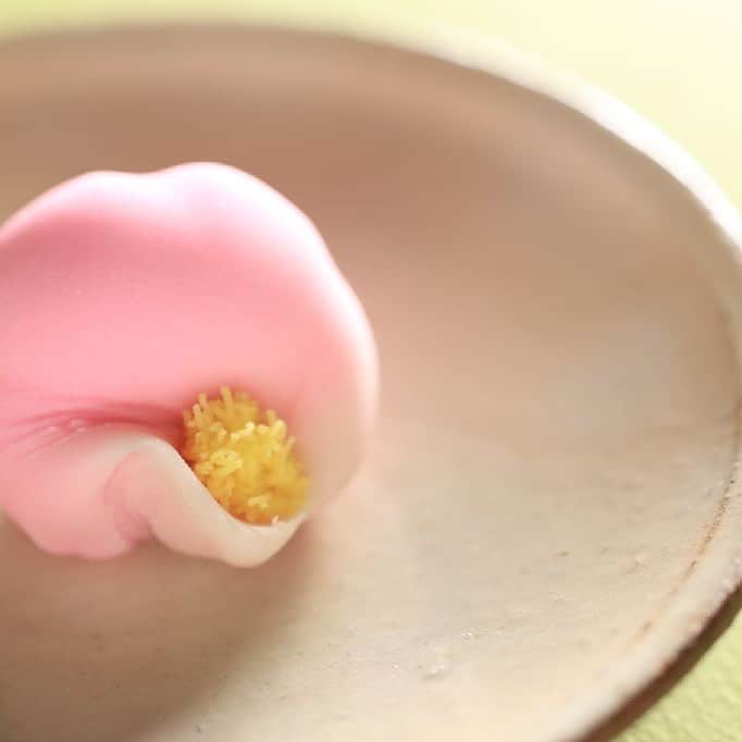 Toru Tsuchieのグルメインスタ