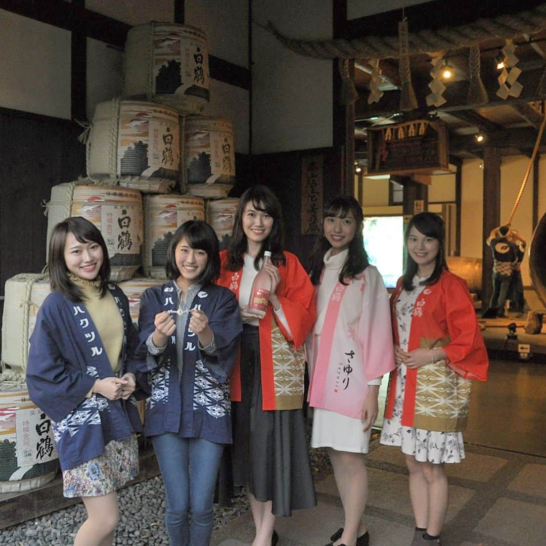 白鶴酒造株式会社のグルメインスタ