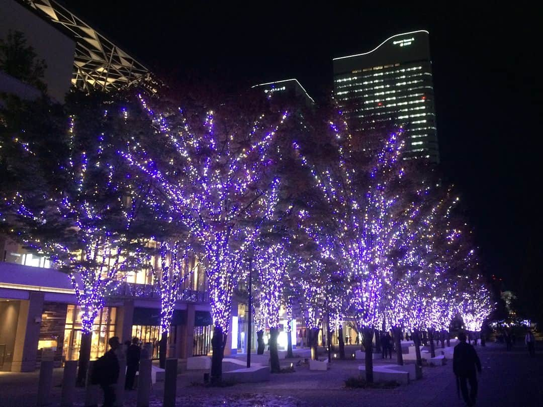 ホリエアツシさんのインスタグラム写真 - (ホリエアツシInstagram)「灯りですな🎄 #夜景コレクティブ  #秦基博 #ストレイテナー」11月8日 19時31分 - a.horie