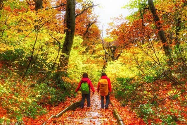 じゃらん遊び・体験予約のインスタグラム：「秋真っ盛りの山に紅葉狩りをしに行きませんか。 じゃらん遊び体験で紅葉トレッキングを予約しましょ。 .⠀ photo by @icchie.3 ⠀ #jalan_asobi タグを付けて頂いた投稿の中から @jalan_activity 担当者がピックアップした作品を紹介しています！ いいね&コメントお待ちしております✨⠀ .⠀ ＼✨じゃらん遊び・体験フォトコンテスト開催中✨／ 選ばれた方は、『関東・東北じゃらん、東海じゃらん、関西・中国・四国じゃらん、じゃらん九州』に掲載されます！⠀ ▶︎詳しくはホームのURLをチェック! @jalan_activity⠀ .⠀ .⠀ #じゃらん遊び体験予約 #instagramjapan #tokyocameraclub #土曜日の小旅行 #ig_japan #wu_japan #lovers_nippon #team_jp_ #photo_shorttrip #s_shot #東京カメラ部 #jp_gallery #japan_daytime_view #体験 #アクティブ女子 #外遊び #観光 #絶景 #日本の絶景 #女子旅 #カメラ女子 #旅好きな人と繋がりたい #旅好き #goproのある生活 #ローカル #トレッキング #紅葉」