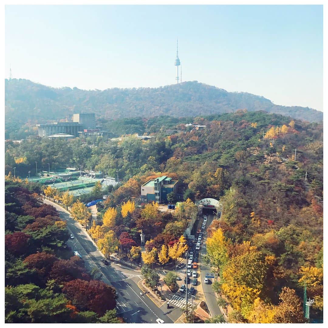 のインスタグラム：「もう東京です♡ ハプニングで帰りどうなるかと思ったけど...無事に帰れて一安心😳✈︎✈︎ . #楽しすぎた旅行♡ #1週間分くらいの満足感。 #ホテルからの景色は #紅葉が...🍁 #とっても綺麗なホテルだった💕☺︎ #東京 #tokyo #도교 #shillahotelseoul #신라호탤」