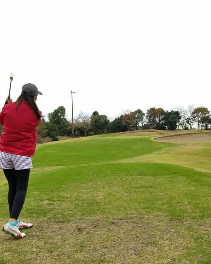 武田しのぶのグルメインスタ