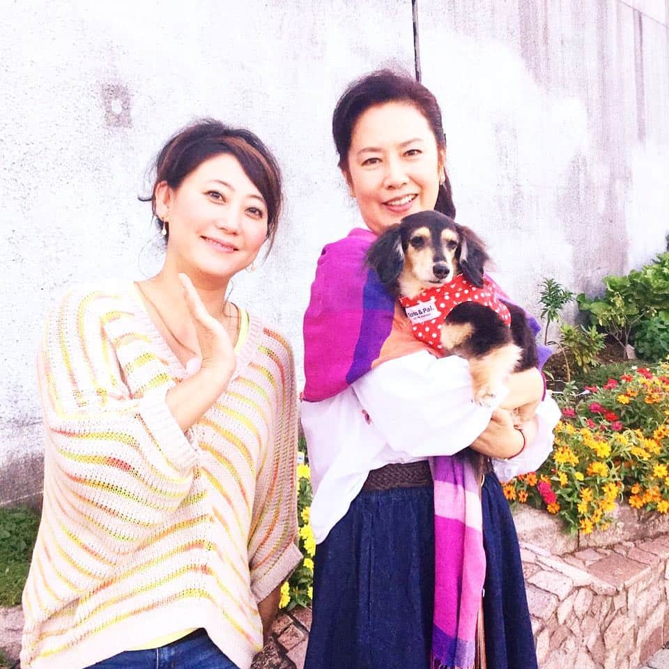 日本テレビ「ヒルナンデス！」さんのインスタグラム写真 - (日本テレビ「ヒルナンデス！」Instagram)「11月9日(木)ＯＡ『エンジョイ！ペットライフ』のオフショット 女優・名取裕子さん＆愛犬ココちゃんと一緒に大型犬の魅力＆飼い方を学びます！お楽しみに！ （C）日本テレビ #ヒルナンデス #エンジョイペットライフ #友近 #名取裕子」11月9日 9時28分 - hirunandesu_ntv_official
