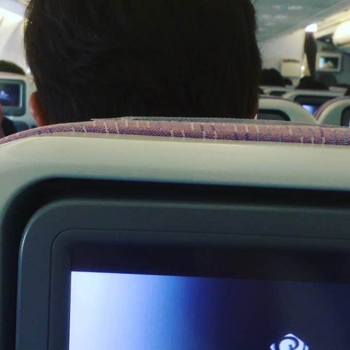 のインスタグラム：「角中さんの後頭部‼️ 台湾行って来ます💨 #角中勝也#台湾」