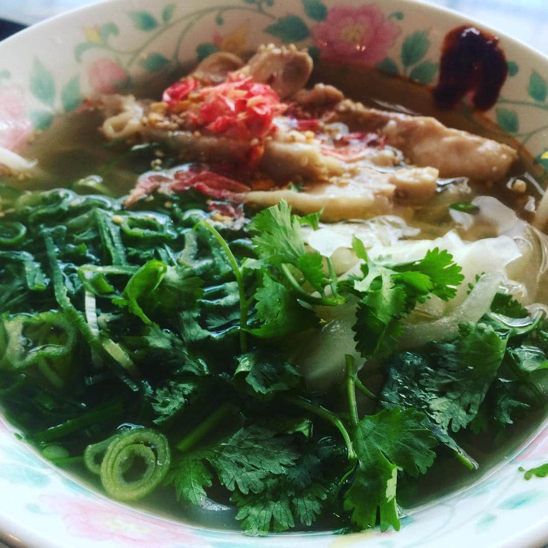 鷹木信悟さんのインスタグラム写真 - (鷹木信悟Instagram)「結構好きなんだよな〜 #ベトナム料理🇻🇳 #パクチー」11月9日 13時10分 - takagi__shingo