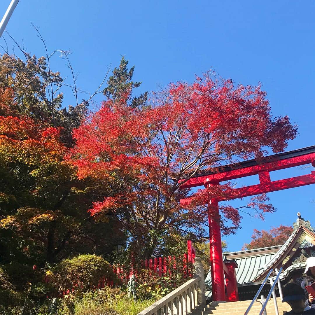 NANAMIさんのインスタグラム写真 - (NANAMIInstagram)「毎年恒例のお母さんと山登りしてきた✌︎ 秋晴れにちょうど紅葉もきれいで 秋をたくさん感じれたよ🍁🌰」11月9日 16時55分 - nanami023