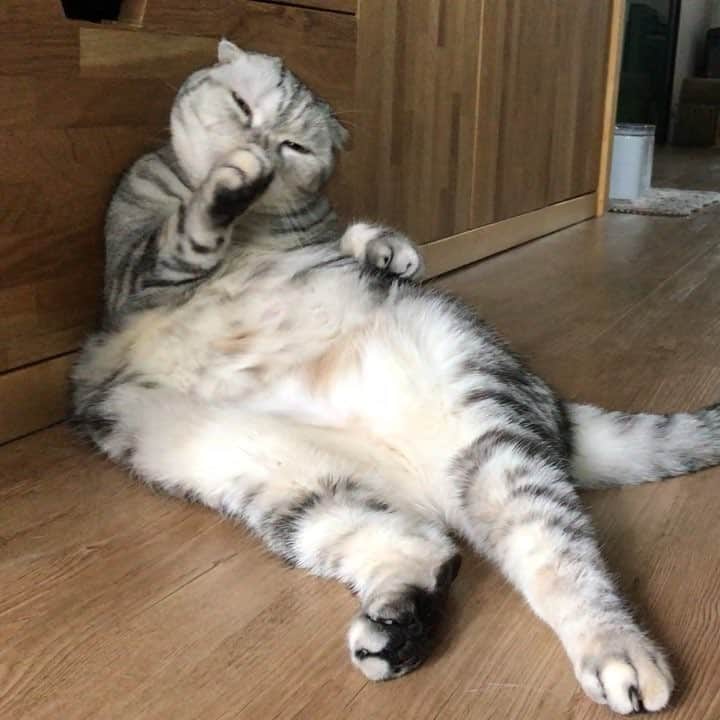 のインスタグラム：「Nala : Beauty is important to me. ยังไงก้อต้องสวยไว้ก่อนค่ะ」