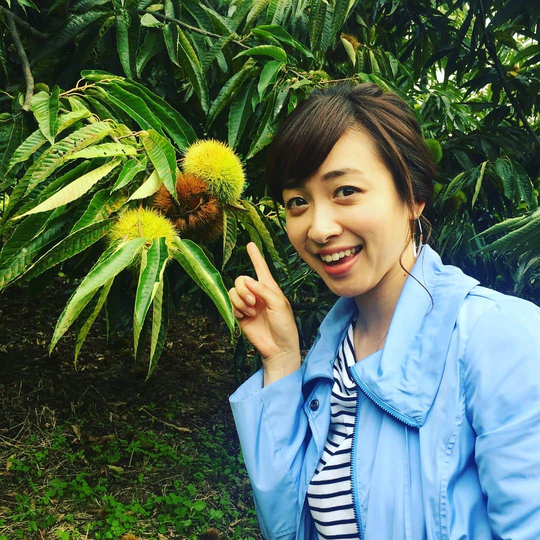 黛英里佳さんのインスタグラム写真 - (黛英里佳Instagram)「★はるみの裏日記★ ・ みなさまケンミンSHOWみていただけましたか😊⁇ 今回は杉本彩さん、西村和彦さん、福田充徳さん、千原せいじさんと共演させていただきました😄 京都ならではの本音と建て前、奥が深いですねぇ😅 月間Leafのライターとなったはるみ✨ 丹波栗、ほんっとに大きくてびっくりしました😳 京都の千枚漬け、大藤さんにいただきましたが美味しかった〜😍 そして京都といえば湯豆腐！ こちらの湯豆腐もめちゃくちゃ美味しかったです😋 いつか父と母を連れてきてあげたいなぁ💕 こちらではなんと西川ヘレンさんとご一緒しました😆 圧巻のお芝居でとても楽しい時間を過ごさせていただきました✨ さてさて、次は京都後編！ 次回もぜひお楽しみに〜😆💕 #ケンミンSHOW #転勤ドラマ #はるみの裏日記 #京都編」11月9日 23時29分 - erikamayuzumi_official