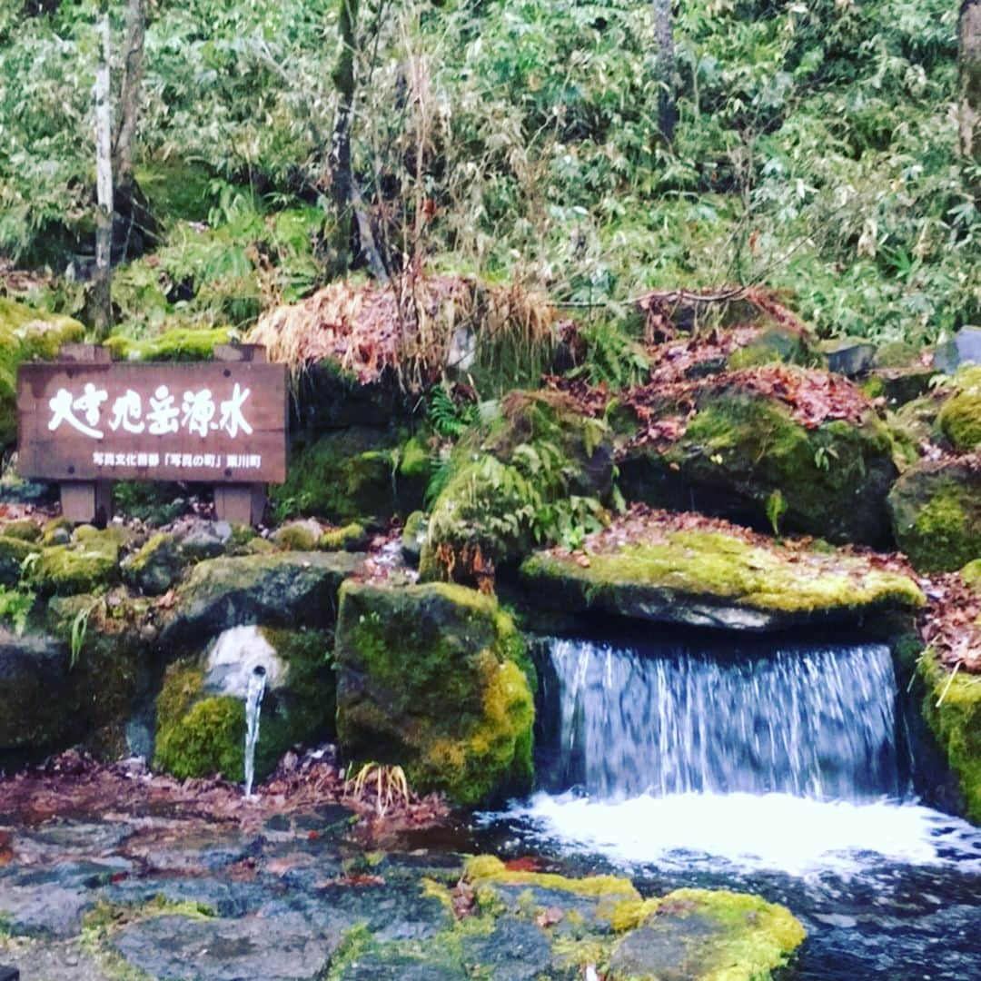 志摩有子さんのインスタグラム写真 - (志摩有子Instagram)「大雪旭岳の麓、大雪山からの湧き水スポット。清流に沿った小径を散策できるようになっている。川のせせらぎに心癒されたひととき。新緑や紅葉の時季にも来てみたい。 #大雪山 #旭岳 #湧き水 #熊出没注意 #初冬 #旭川備忘録」11月10日 14時19分 - ariko418