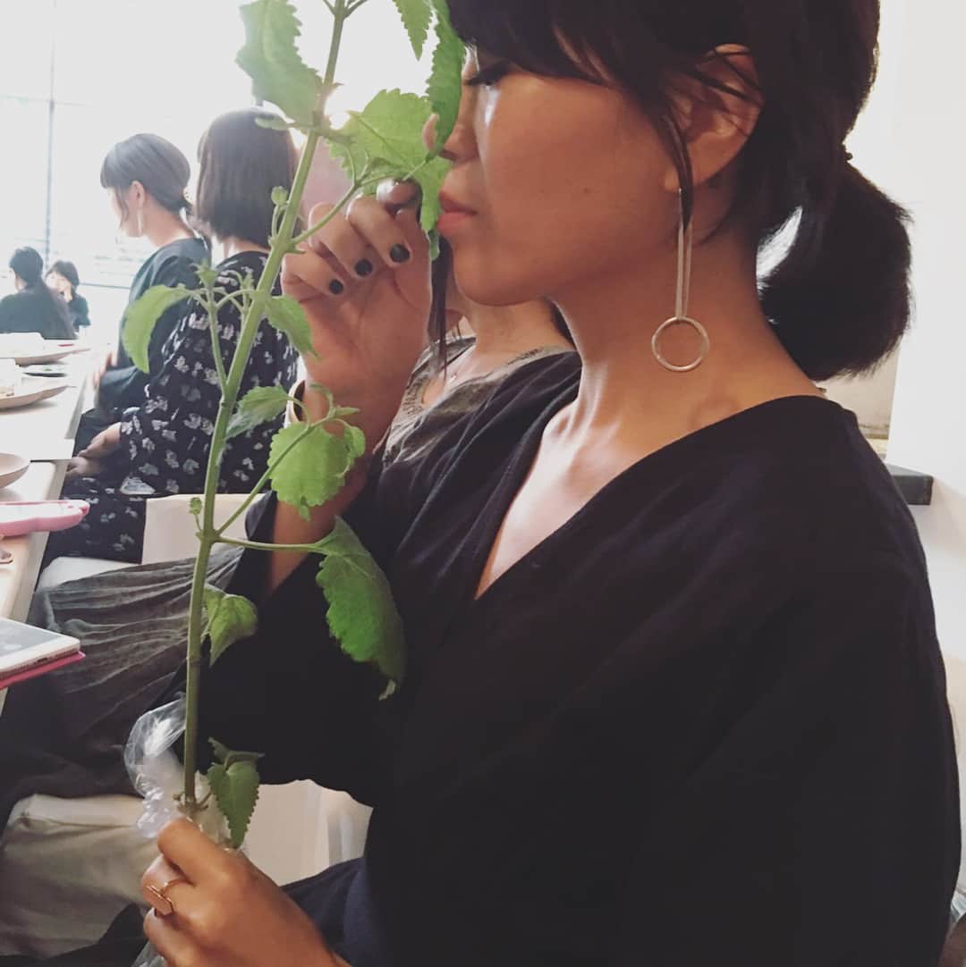 早坂香須子さんのインスタグラム写真 - (早坂香須子Instagram)「ステキな女性たちと、延命草のお食事を囲んで。 延命草とは”ヒキオコシ”という草を採取し、日陰干ししたもので、サーチュイン長寿遺伝子をオンする作用があること。植物が持つアロパシー物質の素晴らしさなど、敦子さんの講義も最高。 尊敬する女性たちとテーブルを囲める幸せ、そして、お食事前にフューチャーソリューションを塗りたくった我々の艶肌を見て！👀✨ ．  坂本美雨ちゃん、 青山有紀ちゃん、 大宮エリーちゃん、 佐々木敬子ちゃん、 桐島洋子さん、 ほしよりこさん、 野村友里ちゃん、 森田敦子さん、 風間ゆみえさん、  #shiseidoginzatokyo #フューチャーソリューションLX#延命草」11月10日 16時40分 - kazukovalentine