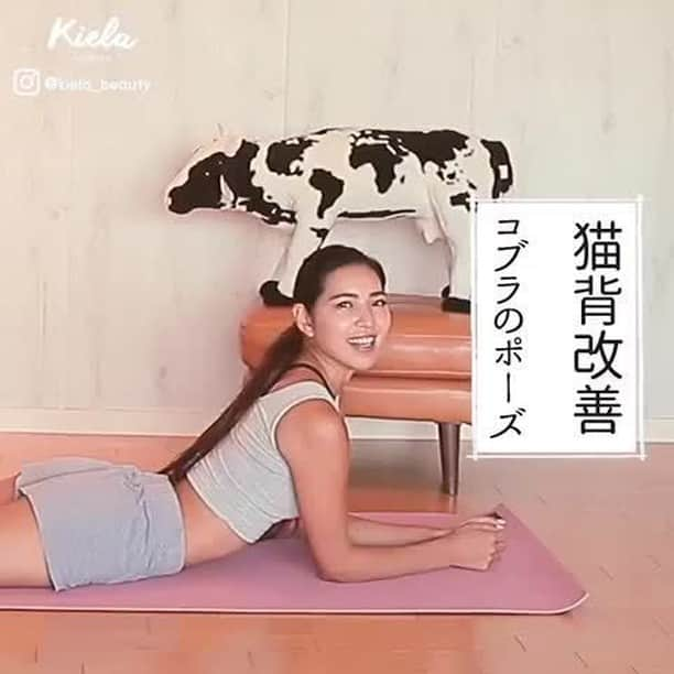 おうちでできる3分エクササイズのインスタグラム：「#寝る前にできる3分ヨガ . 今日は、猫背改善「コブラのポーズ」をご紹介します✨姿勢矯正にオススメなヨガのポーズで背中を伸ばしましょう。 . 〰 やり方 〰 ①うつ伏せになり足は腰幅へ ② 両手を胸の横におき、指先は開きます ③ 吸って床を押して肘を伸ばし、胸を開きましょう。このとき目線は斜め天井を意識しましょう。 . . ≪ヨガインストラクター・監修≫ 来夏 (@rairairaika ) .」