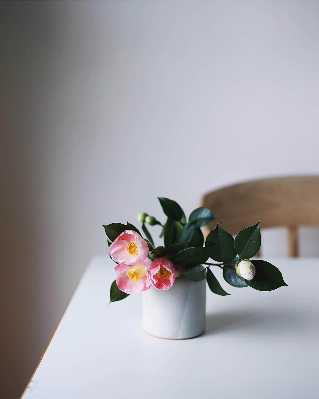 増田由希子さんのインスタグラム写真 - (増田由希子Instagram)「In love with my new vase, in love with these flowers too❤️ Thank you so much Charmian! @bisuketto_studio  I really love this 'Yuki '( meaning snow)vase!  #camellia #vase #sospecial #myfavorite #treasures #椿 オーストラリアの陶芸作家 Charmianさん @bisuketto_studio  から届いたばかりの花器に咲き始めの椿をいけてみました。 花器は、温かみのある柔らかな質感で色はベージュと白のグラデーション。白色は大地に薄っすら積もった雪をイメージされたのでしょうか… ❄️ この花器の名前は、"Yuki" (雪)」11月10日 22時21分 - nonihana_