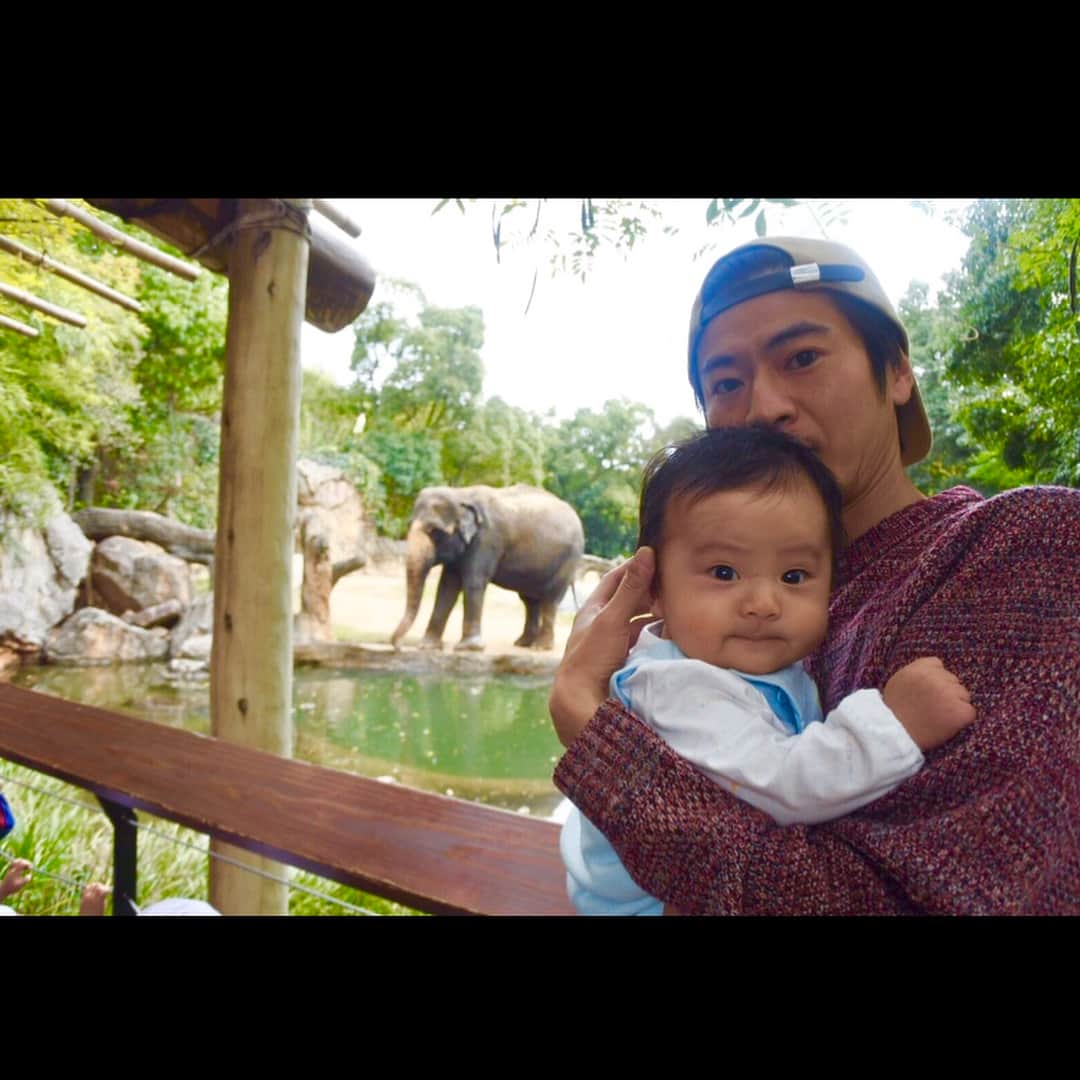 窪塚俊介さんのインスタグラム写真 - (窪塚俊介Instagram)「Long time no visit the zoo.🐘🐅#天王寺動物園 獅子座初日の生まれのきみはライオンに興味なしだね🦁w」11月11日 1時37分 - shunsuke_kubozuka