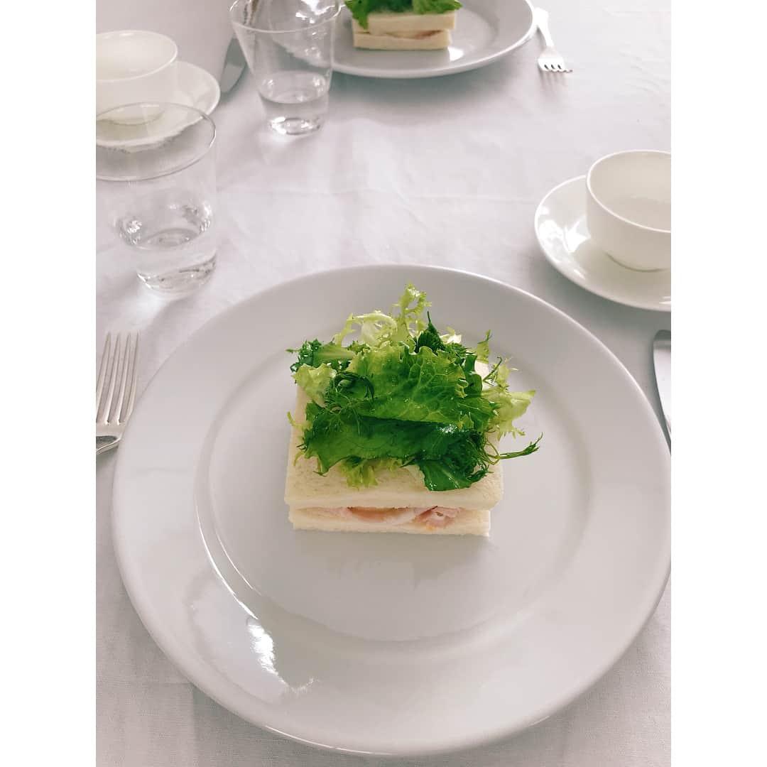 市川実和子のインスタグラム：「☕︎ 今週のお茶日記その2 内田真美さんが「このお菓子は、ほんとうにお茶どろぼう！」と言う、ウェルシュケーキ教室。 まさにめくるめくの  @muccida の世界。 菩提樹と柚子のお茶から始まって、キームンや紫紅茶、テテリアのお茶会に続き、ここでも @chanowanaoko  ちゃんが熊本から送ってくれたというASO MILKティー。 ああ、 それにしても、真美さんのサンドイッチったら、顔うずめたい。」