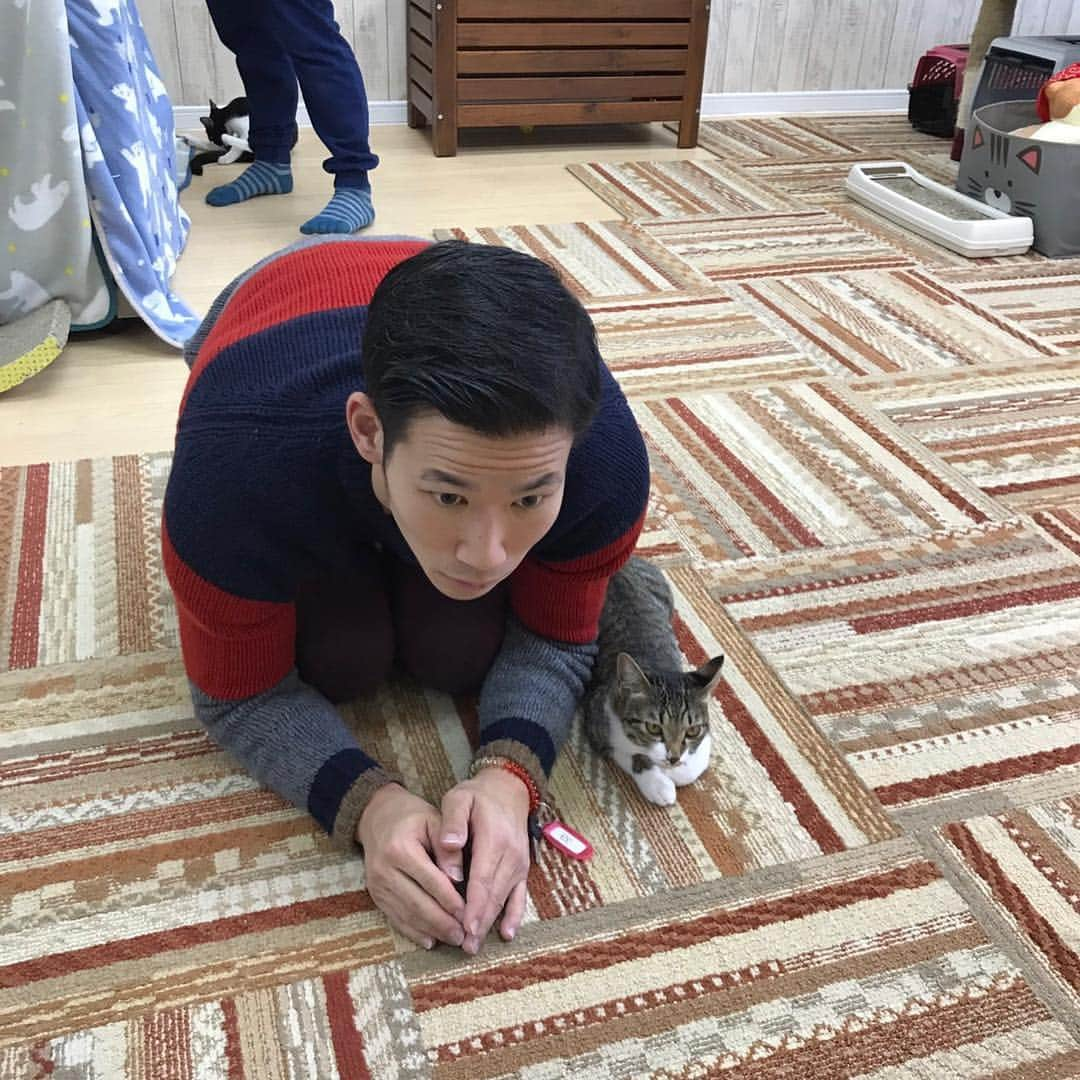 長谷川智将のインスタグラム：「初猫カフェ😊✨✨可愛すぎて癒された✨✨✨」