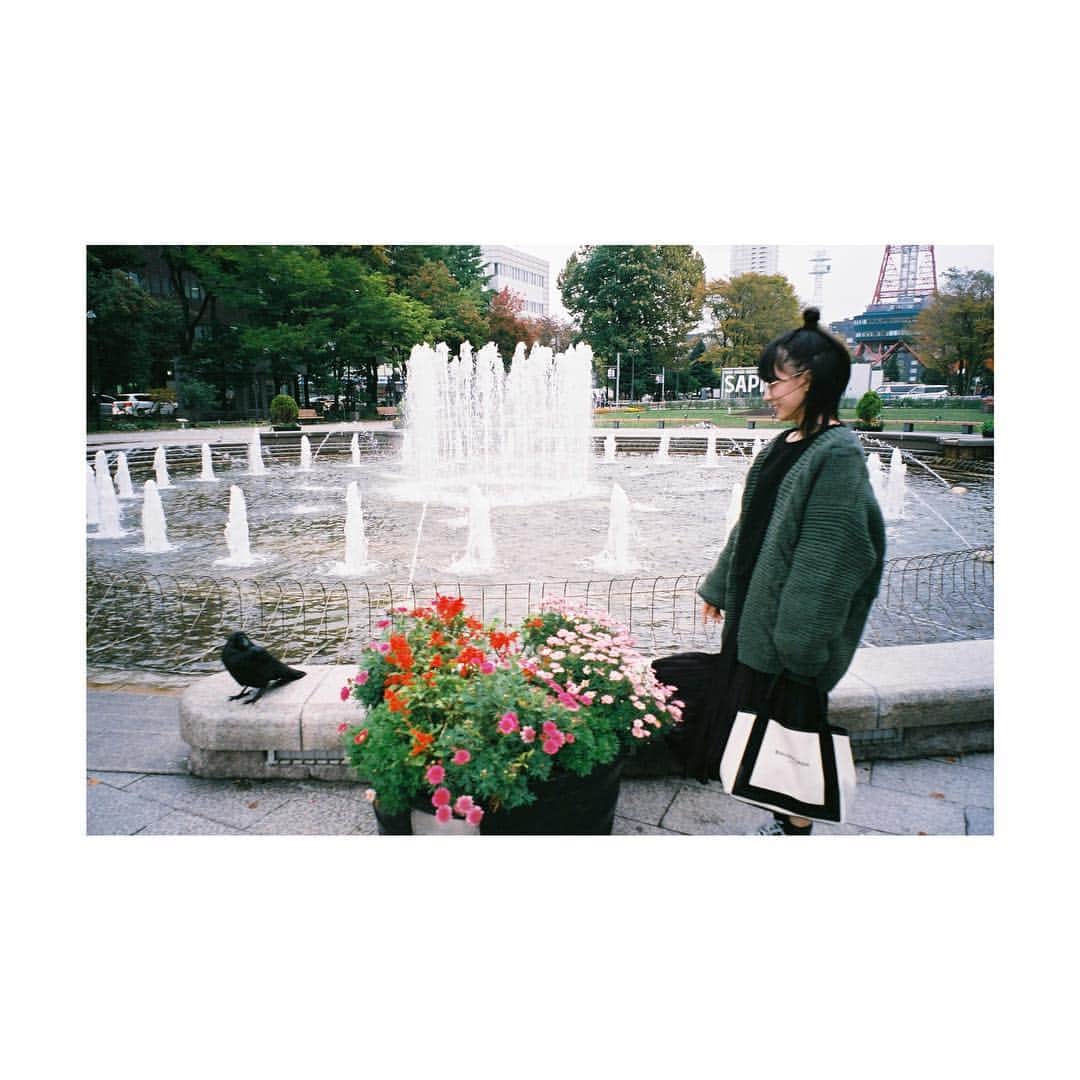 芳根京子さんのインスタグラム写真 - (芳根京子Instagram)「あ。  #film #北海道」11月12日 20時36分 - yoshinekyoko