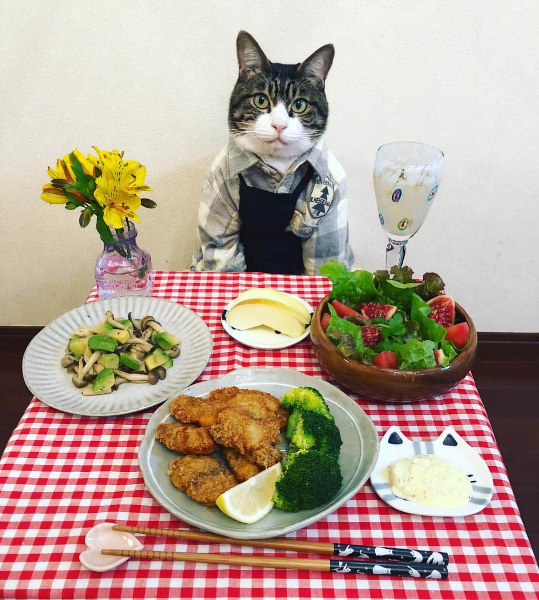 のインスタグラム：「（今日の献立) ・カキフライ ・アボカドとしめじのホットサラダ ・サラダ ・りんご (Today's menu) ・Deep fried oysters ・Avocado and Shimeji's hot salad ・Salad ・Apple ★ 【料理猫マロ】週めくり卓上カレンダー(扶桑社)発売中‼️ よろしくお願いしますニャン🐈💕 ★ いつもコメントありがとうございます😸🙏💓 返信出来なくてすみません🙇‍♀️ 全て拝見しています🐾 ★ Thank you  for your kind comments😸🙏💓 I’m sorry that I couldn’t reply. ★ #cat#cats#catstagram#catsofinstagram#sweetcatclub#catsofworld#food #japanesefood#dish#wine#flower #にゃんすたぐらむ#猫#ねこ#ネコ#みんねこ#ネコダスケステーション #ふわもこ部#料理#料理猫マロ#ワイン#食卓 #カレンダー#扶桑社#斉藤和義」