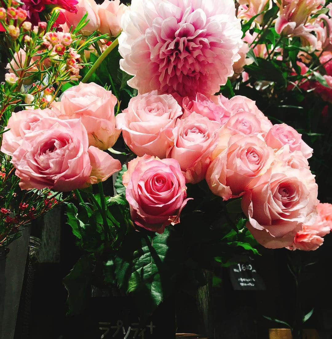 佐藤千晶さんのインスタグラム写真 - (佐藤千晶Instagram)「１年のうち、今が一番ローズの種類が多いそう。  お花屋さんが教えてくれました☺️ #ラプソディ #このローズ可愛いな #ローズ #バラ #花屋さん #今日もお仕事 #ご褒美のお花」11月12日 23時21分 - satochiaki125