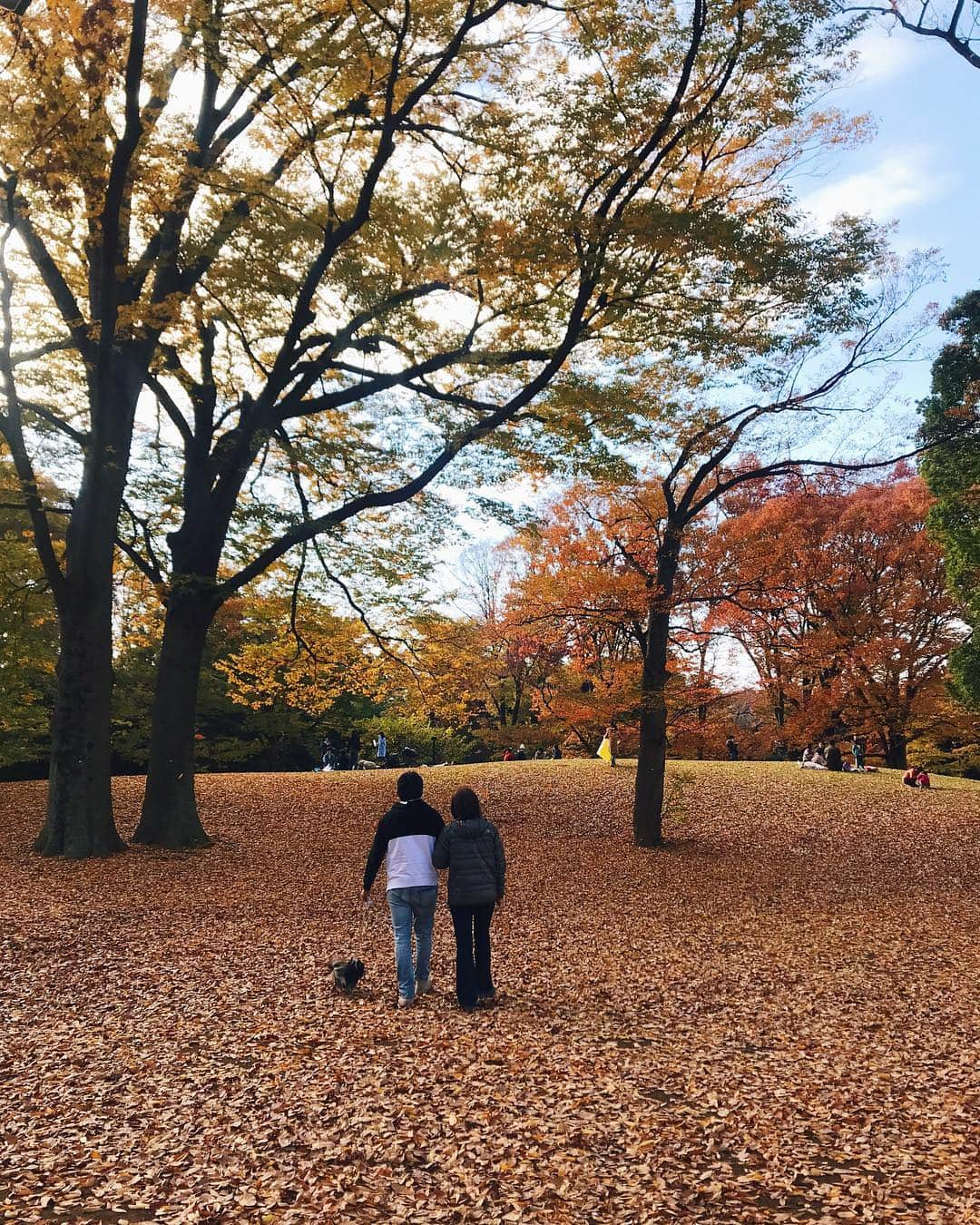 大屋夏南さんのインスタグラム写真 - (大屋夏南Instagram)「Couple goals 👸🏻🤴🏻 #myparents  うちの両親は本当に仲が良くてこっちがハッピーになる☺️」11月27日 12時57分 - __kana_oya__