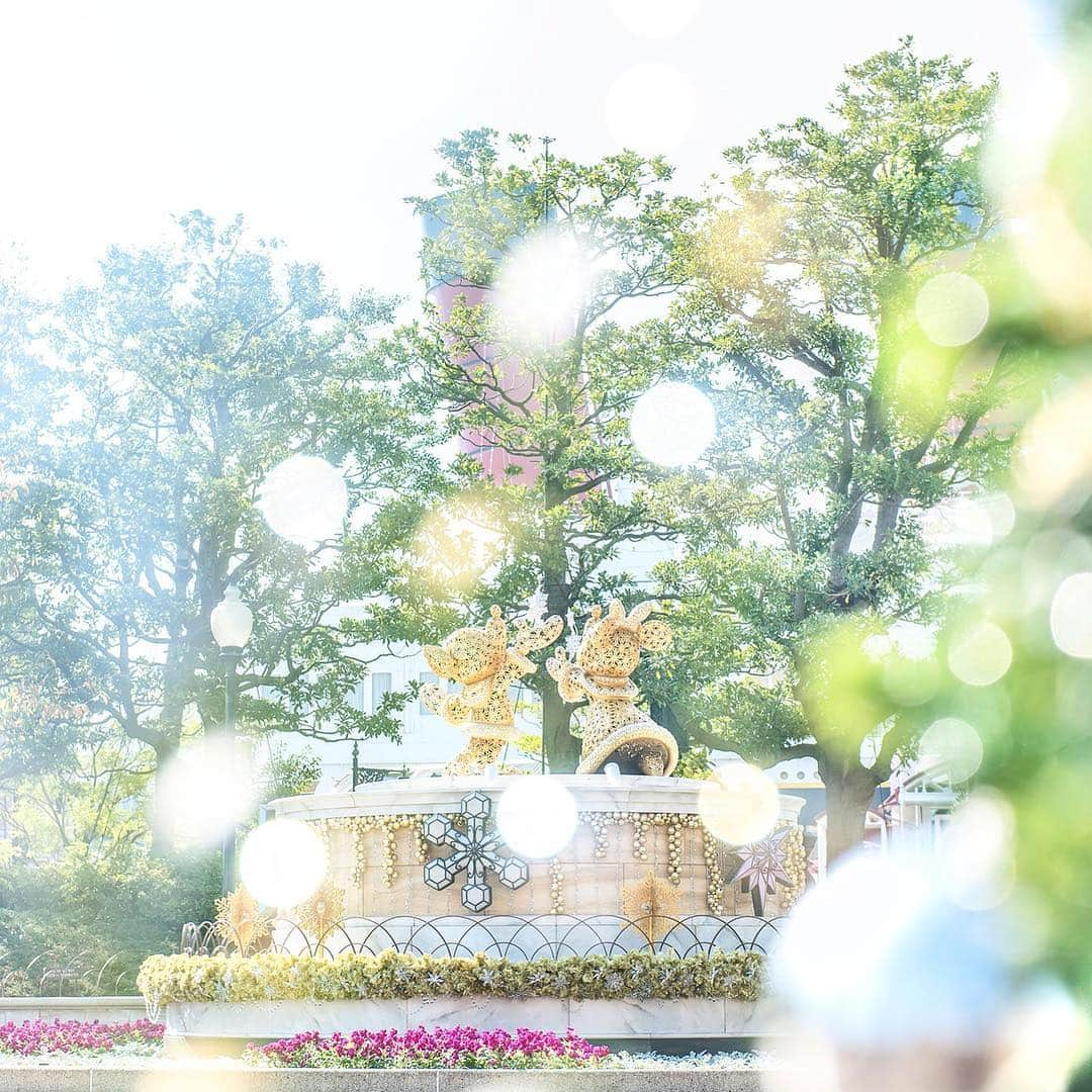 東京ディズニーリゾートのインスタグラム