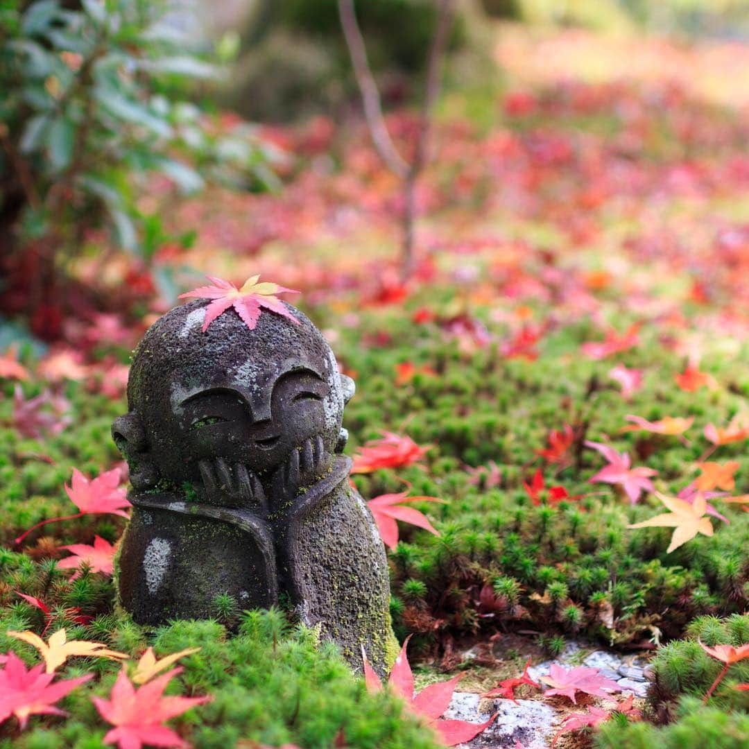 miku_colorsさんのインスタグラム写真 - (miku_colorsInstagram)「* 2017.11.27 . きのう京都の圓光寺で出会った 可愛い可愛いお地蔵さま。 . 頭にちょこんともみじを乗っけて にっこり微笑まれたら、 こちらも自然に笑顔になりました。 (🍁はたまたま？乗ってましたよ♩) . . 出会えて嬉しかったな♡ . . .」11月27日 17時27分 - miku_colors