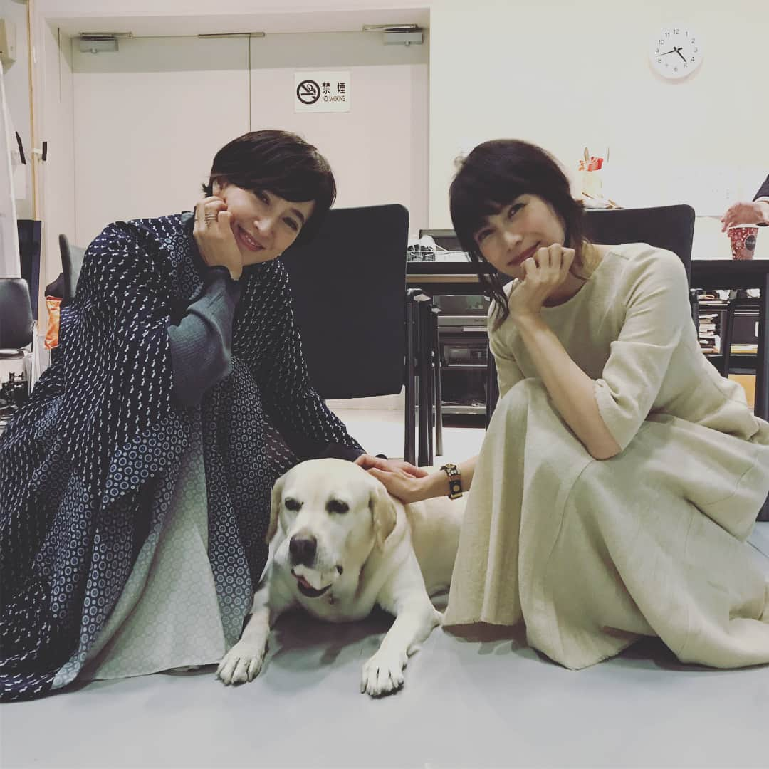 柴咲コウさんのインスタグラム写真 - (柴咲コウInstagram)「本日は12月末リリース朝日新聞の夕刊の別冊子「Sippo」の撮影でした(๑˃̵ᴗ˂̵) アリス&滝川クリステルさん @christeltakigawa と(^^) #dogofinstagram #dog #犬 #rescuedogsofinstagram #rescueddog #保護犬 #保護猫 #cat #のえるお留守番 #rescuedcat #アニマルウェルフェア #animalwelfare #華やかな一日 #笑顔」11月27日 19時12分 - ko_shibasaki