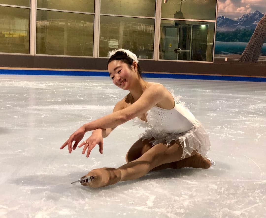 のインスタグラム：「Une petite cygne😇」