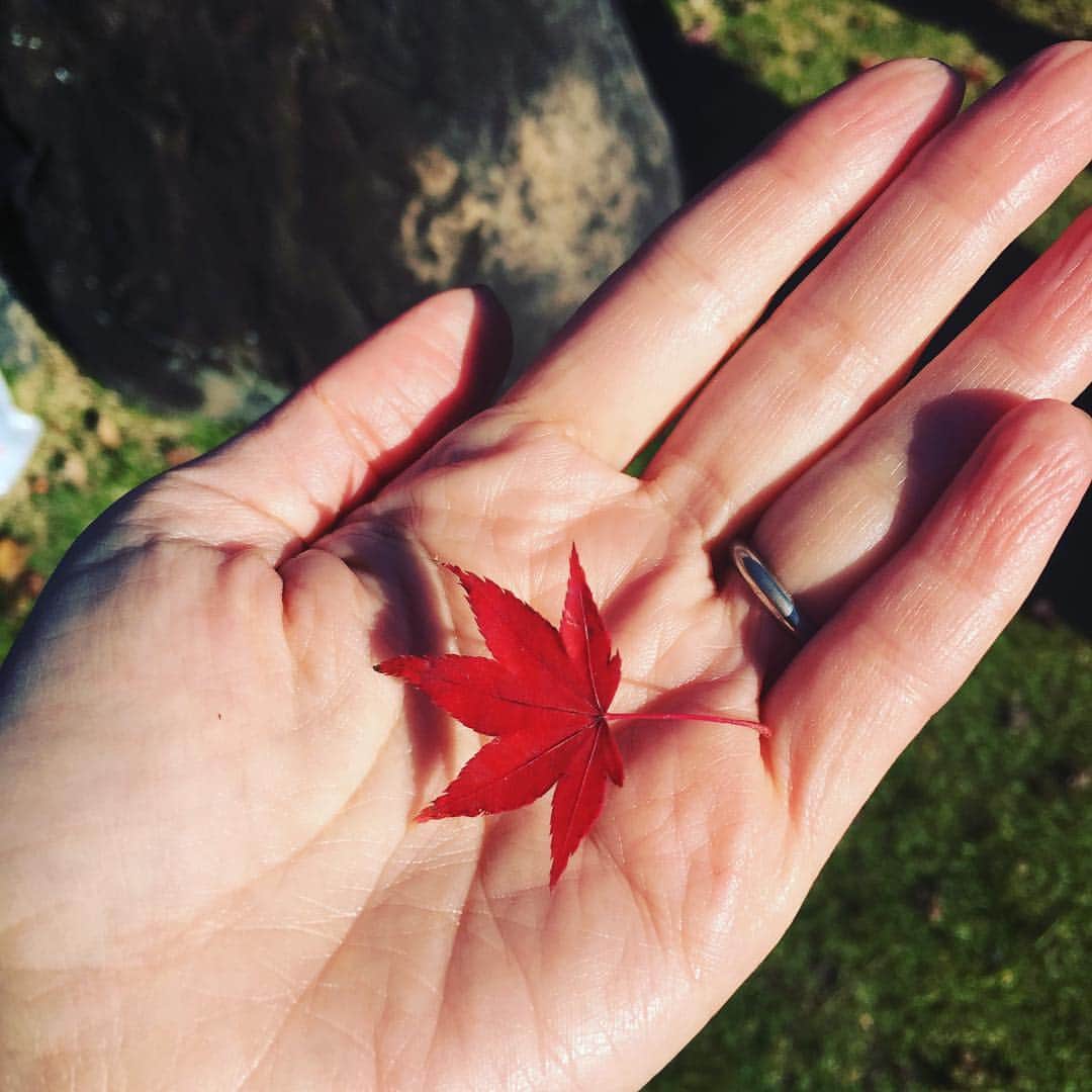 高岡早紀 さんのインスタグラム写真 - (高岡早紀 Instagram)「ちっちゃい秋みーつけたっ #京都」11月13日 9時20分 - saki_takaoka